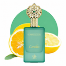 AL WATANIAH CASTILLA ANDALUS EDP 100ML